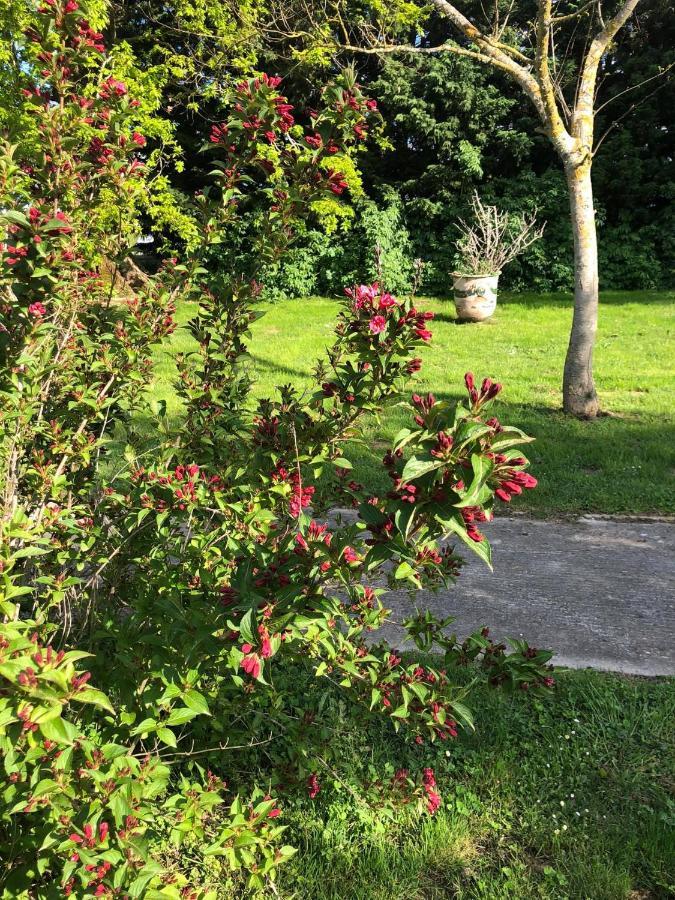 Bed and Breakfast Domaine En Castanet Caraman Exterior foto